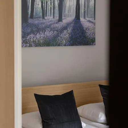 Przestronny W Zielonej Okolicy Parking By Renters Apartament *