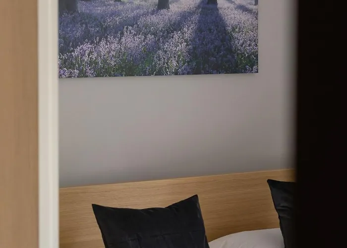 Przestronny W Zielonej Okolicy Parking By Renters Apartamento *